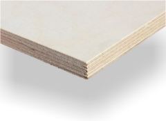 WATERPROOF PLYWOOD