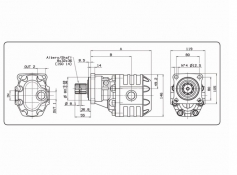 Gear pumps